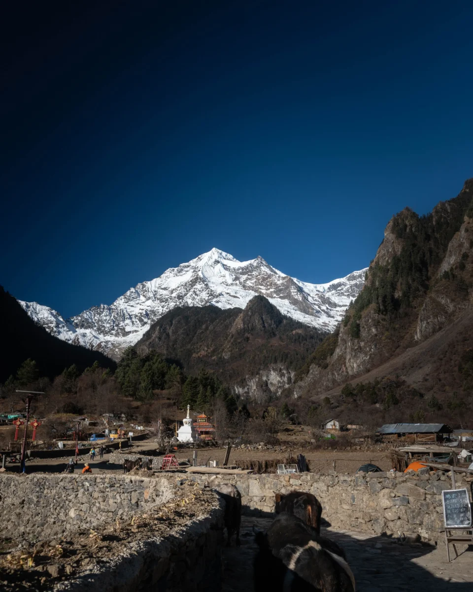 Manaslu-circuit-trek-guide-2026